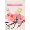 Aura Tuoksulämpikynttilä Vanilla- Orchid