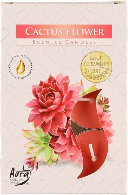Aura Tuoksulämpikynttilä Cactus flower