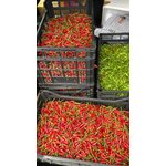 RED CHILI 100g