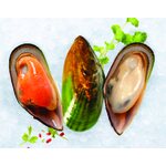 SANFORD GREENSHELL MUSSELS 800g