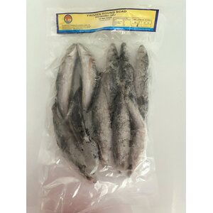 HUNG FAT FROZEN ROUND SCAD 1 kg