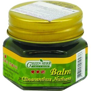 GREEN HERB BALM CLINACANTHUS NUTHANS