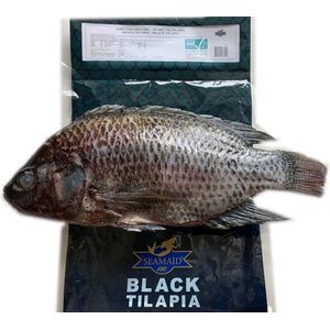 SEAMAID MUSTA TILAPIA N. 1KG