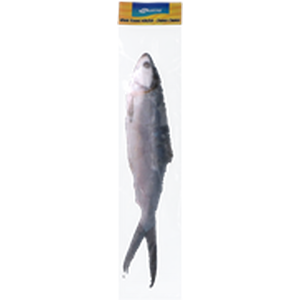 Seaking Kokonainen maitokala 800g-1kg