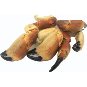 BROWN CRAB CLAWS