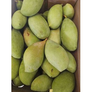 GREEN MANGO 1kg