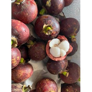 MANGOSTEEN 100g