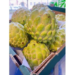 SUGAR APPLE