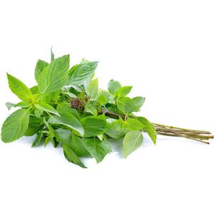 Sweet basil 100g