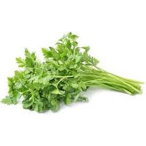 Coriander 100g