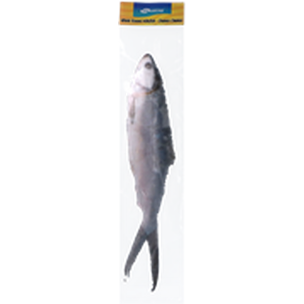 Seaking Kokonainen maitokala 800g-1kg