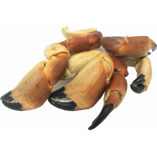 BROWN CRAB CLAWS