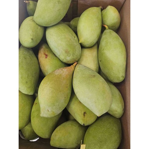 GREEN MANGO 1kg