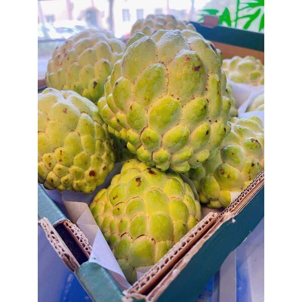 SUGAR APPLE