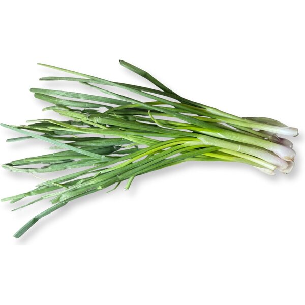 Spring onion 100g