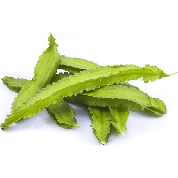 Winged bean 100g