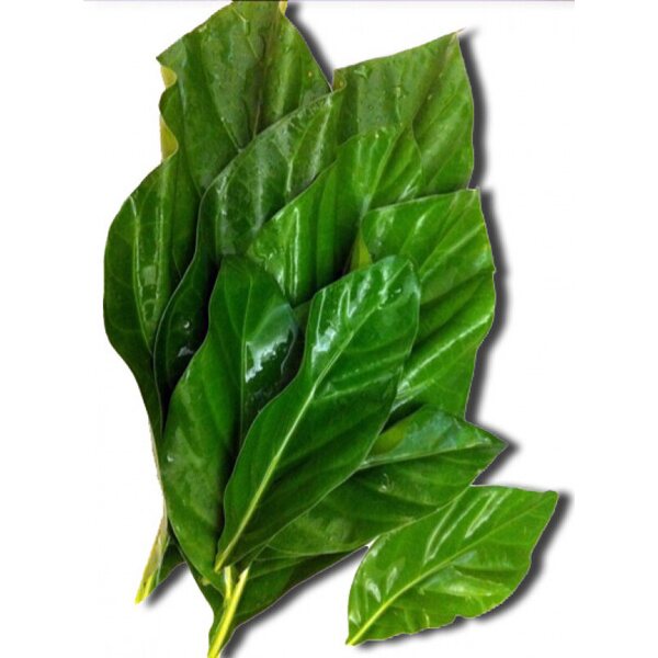 Marinda (Yor) leaf