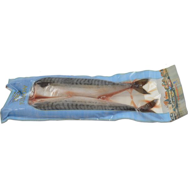 ASIAN PEARL MACKEREL SCOMBER SCOMBRUS 2KPL IVP